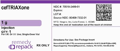 cefTRIAXone 1g_70518-2499-01.jpg MM2 - cefTRIAXone 1g 70518 2499 01